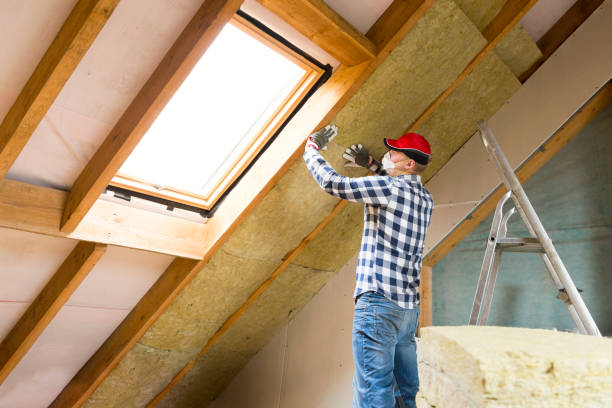 Professional Insulation Services in Kuna, ID